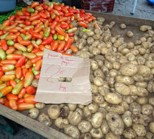 Rundgang über den Marché forain du Front de Mer