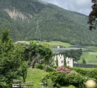 Ausblick aufs Weingut