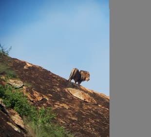 Tsavo Ost Nationalpark