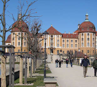 Federnteppich in der Burg im See