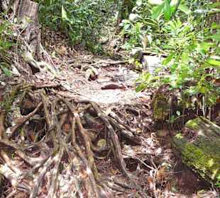 Über Stock und Stein