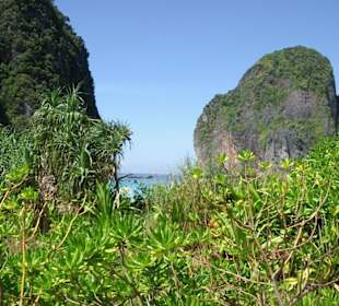 Ausflug zur Maya Bay