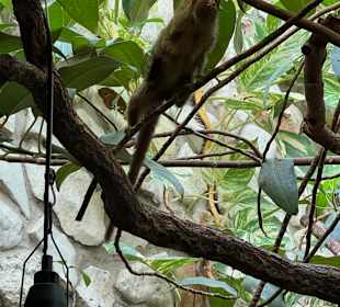 Tiergarten Straubing