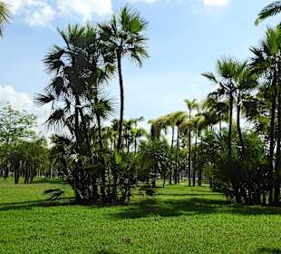 Nong Prajak Public Park