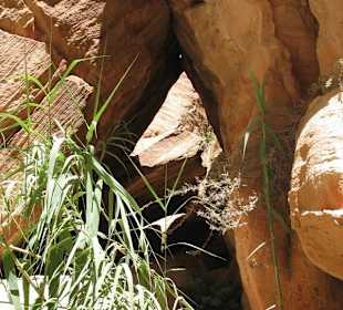 Spacer po Mieście Wykutym w Skale - Petra