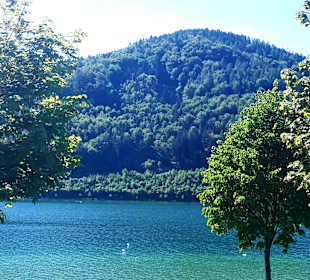 Wandern Kitzelberg St. Kanzian