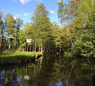 Kanäle im Spreewald 