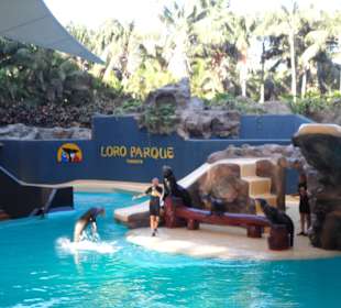 Loro Parque 