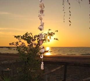 Daily Sunset included