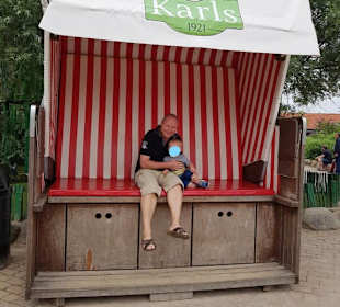 Riesenstrandkorb