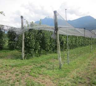 Uferpromenade Gravedona