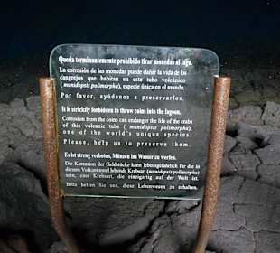 Jameos del Agua Cesar Manrique