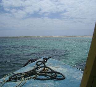 Ausflug Glasbodenboot Diani Beach