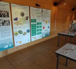 Forschung und Ausstellung im Jardin Méditerranéen