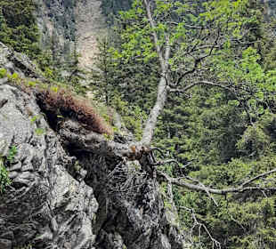 Wandern Ridnaun Ratschings