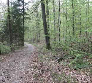 Wanderweg Firstwaldrunde