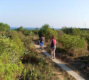 Zum Freilichttheater