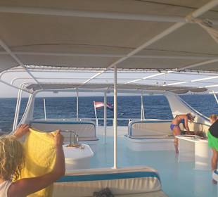 Das Deck zum Sonnenbaden