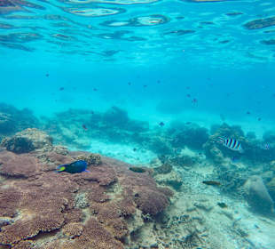 Schnorcheltour mit Jebat