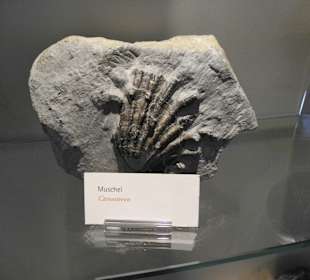 Kleines Museum Panorama Therme