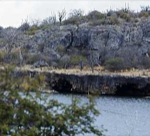 Der Washington-Park mit dem Gotomeer