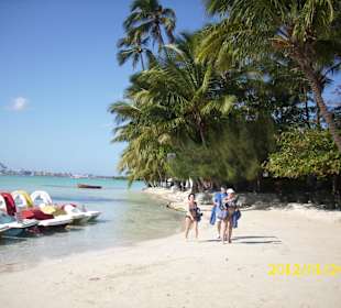 Saona