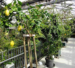 Zugang zu den Gewächshäusern