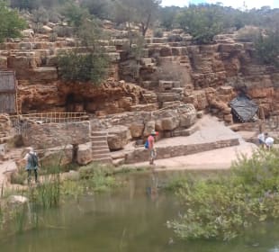 Paradise Valley