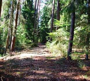 Wanderung zum Wasserfall