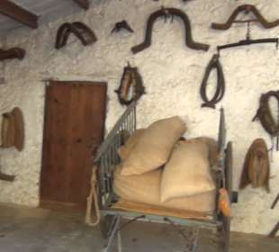 Aussenbereich - Remise + Werkstatt