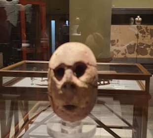 Erlebnis Ägypten VIP Ausflüge