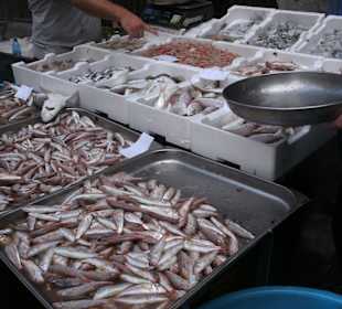 Fischmarkt von Catania