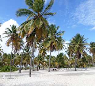 Saona