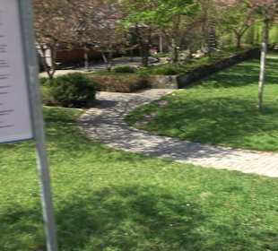 Japangarten Stuttgart