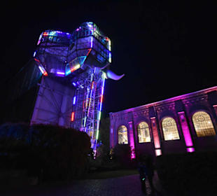 Herbstleuchten Maximilianpark in Hamm