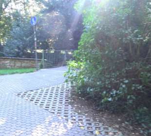 Alter Botanischer Garten