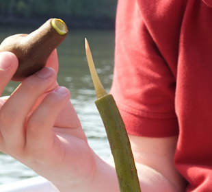 Der Lebenskeim der ein Meer überqueren kann.