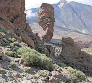 Vip- Tour, Pico del Teide 3178m