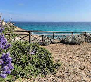 Wandern Cala Mesquida