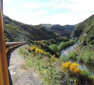 Mitder Taileri Railway durch die Natur Neuseelands