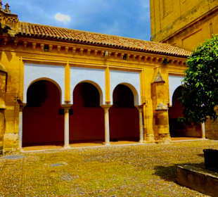 Patio de los Naranjos