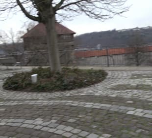Kanonenbuckel