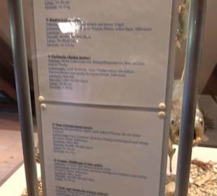 Natur- und Jagdmuseum