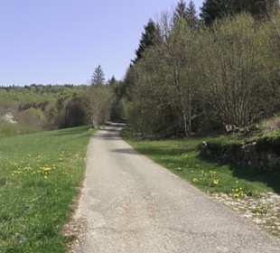 Waldlehrpfad an der Lauter