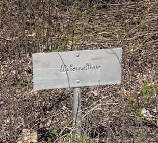 Wildrosenlehrpfad