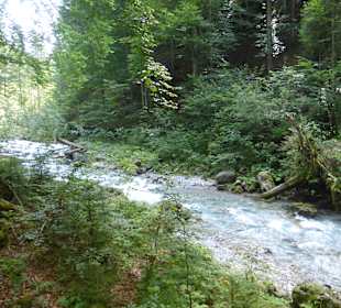 Der Oybach im Oytal, südöstlich von OBerstdorf