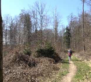 Geschichtlicher Lehrpfad Einsiedel