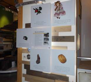 Im Auswanderermuseum