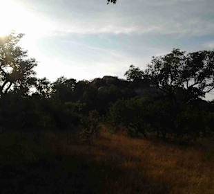 Krüger Nationalpark