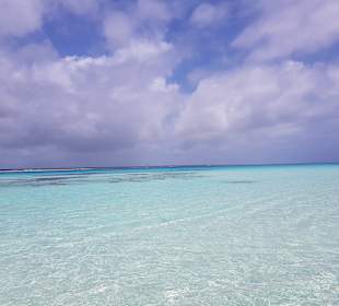 Mnemba Island